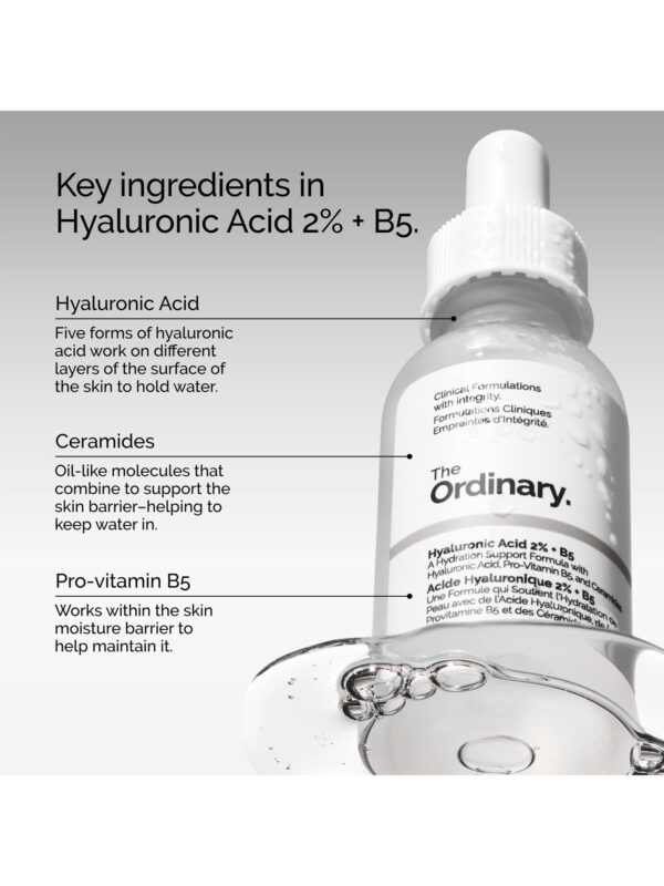 Hyaluronic Acid 2% + B5 (with Ceramides) - Image 6