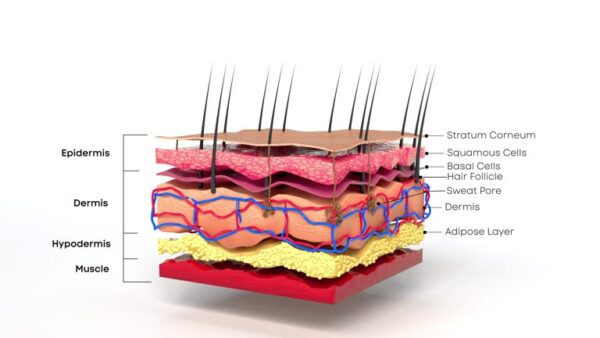 Keratin Brazilian Shampoo Damage Soft Hair - Image 4